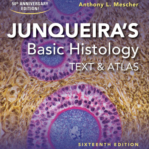 عکس محصول Junqueiras Basic Histology Text And Atlas 16Ed (IE) (Pb 2021)