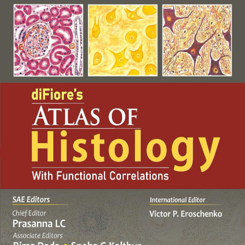 عکس محصول Difiores Atlas Of Histology With Functional Correlations With Access Code (First ) (Pb 2022) Adaptation From 13Ed